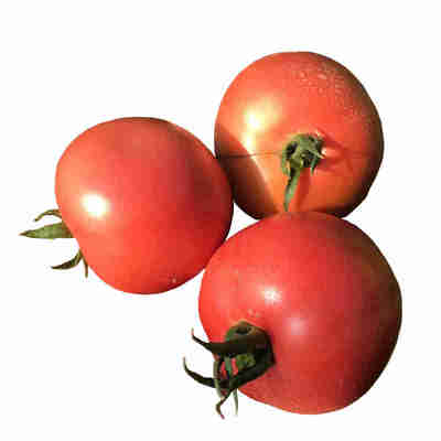 原味小番茄新鲜蔬菜西红柿圣女果
