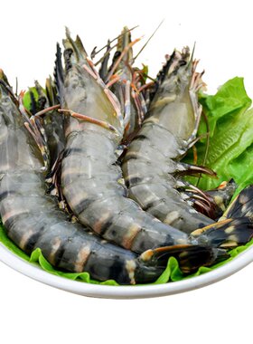 怡鲜来活冻越南黑虎虾盒装烧烤
