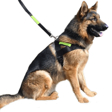 大型犬金毛拉布拉多反光带狗链子1