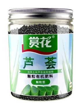 植物库拉索芦荟盆栽有机肥