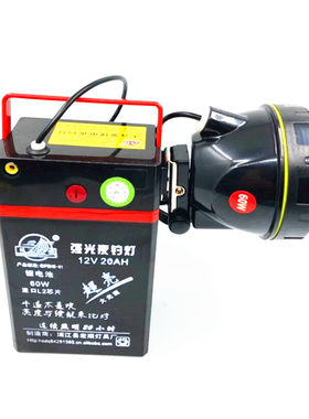 鸿顺户外超亮钓鱼12v7ah20ah