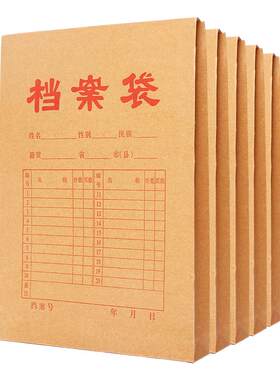 100个装真彩档案袋a4带方案案卷