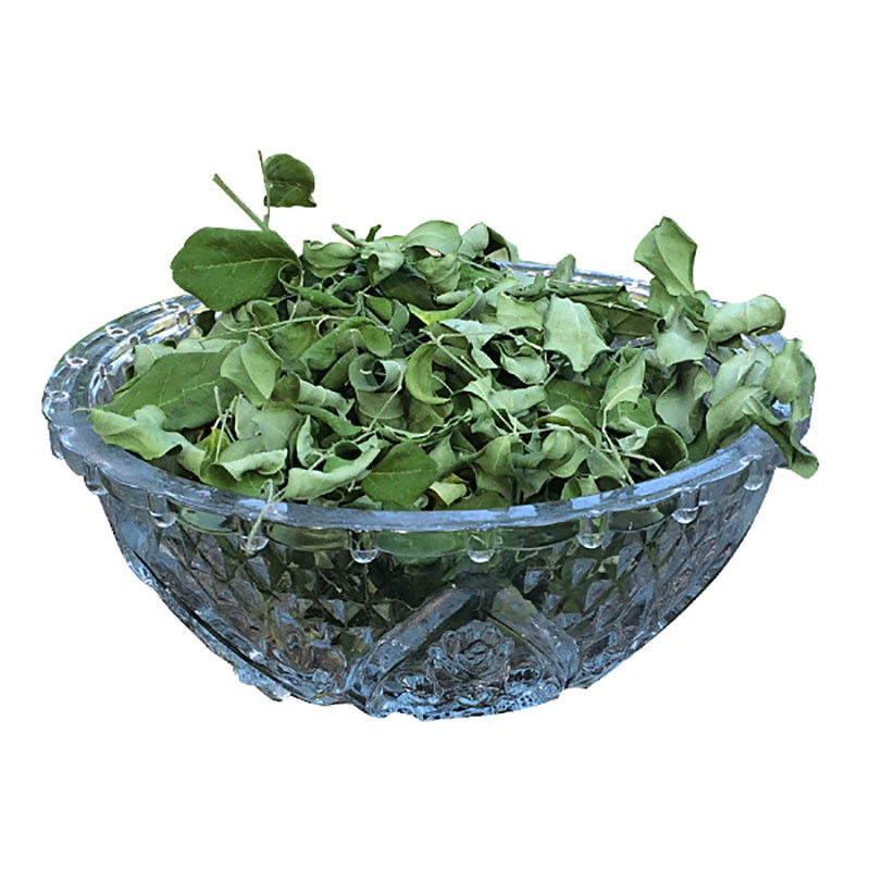 印度辣木叶辣木粉精选绿叶500g