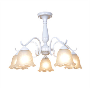 欧式铁艺白色吊灯北欧客厅餐厅卧室美式乡村田园吊链款吸顶款包邮