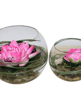 wo+仿真花假花睡莲球形玻璃花瓶
