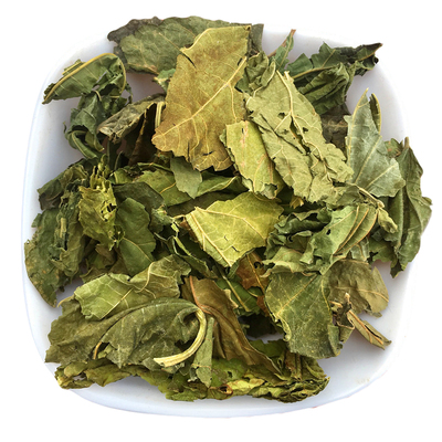 霜桑叶中药材500克新货干净新鲜