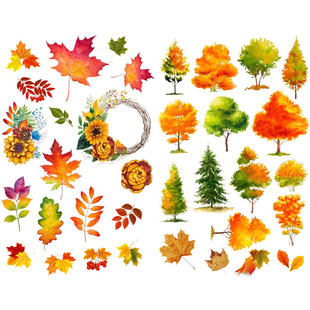 【已裁剪】金色枫树落叶秋天植物少女心ins风手账素材DIY贴纸贴画