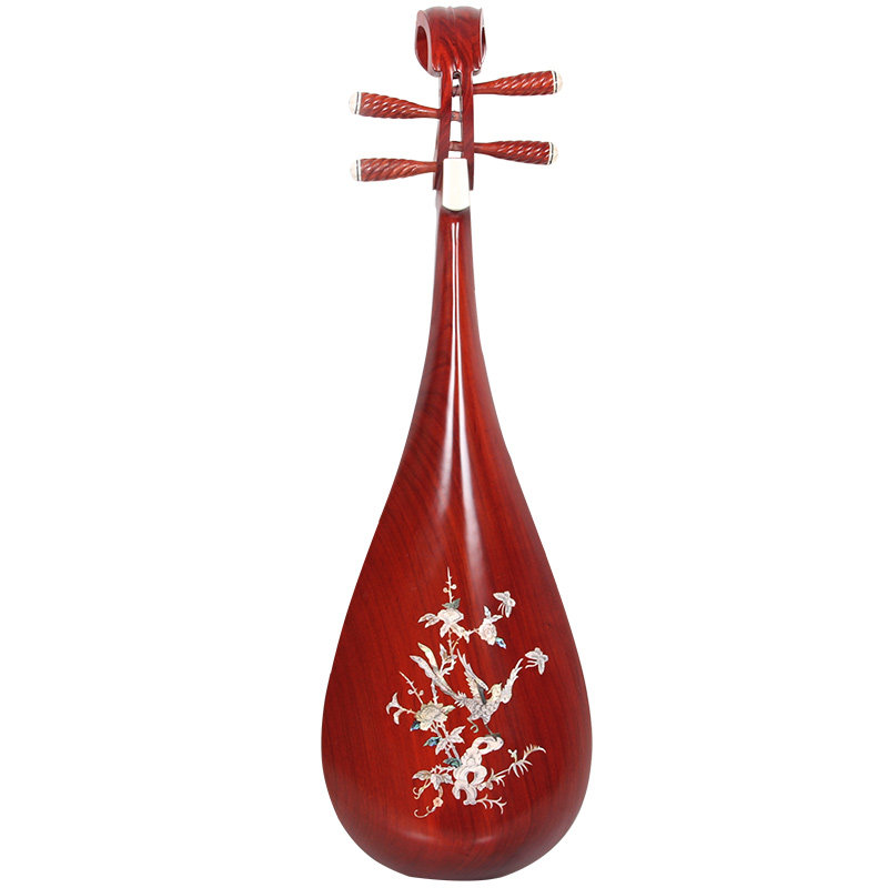 梵巢民族弹拨包邮 红木贝雕初学儿童 成人演奏琵琶乐器赠弦指甲胶