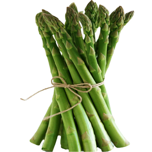 多年生芦笋种子龙须菜石刁柏阳台盆栽菜园春夏秋四季播蔬菜种籽孑