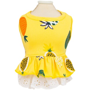 狗狗衣服春夏装泰迪比熊小型犬猫咪兔子菠萝裙子全棉宠物衣服公主