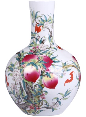 景德镇瓷器陶瓷花瓶客厅装饰品