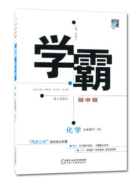 学霸题中题九年级下册化学人教版