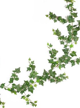 高仿真爬山虎植物墙空调管道藤条