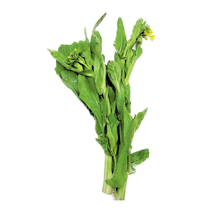 精选圆叶苔菜种子台菜籽春夏秋冬四季播农家菜园阳台蔬菜特菜籽孑