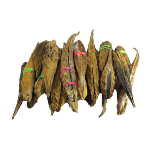 萝藦天浆壳种子老瓜瓢老鸹瓢奶浆草老窝瓢多年生植物老鸪瓢羊婆奶