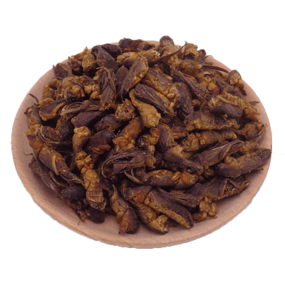 蝼蛄中药材正品天然无硫优质