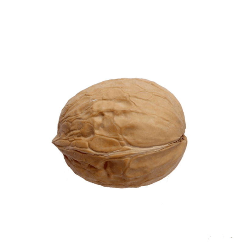高原特产薄皮核桃易剥壳 油水好纸皮/薄皮核桃