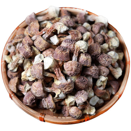 姬松茸干货巴西菇鸡松茸松茸菌云南特产姫松茸巴西非野生特级400g