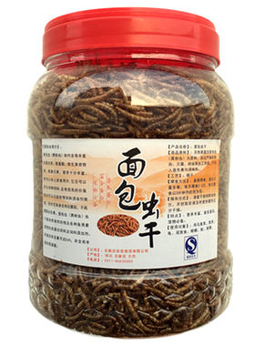 烘干面包虫干｜无添加营养蛋白