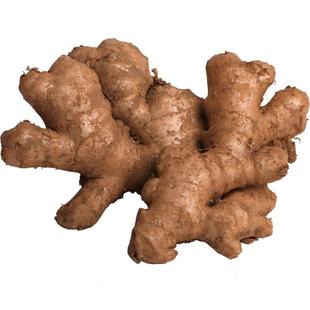 云南正宗高原现挖新鲜精选小黄姜生姜老姜月子姜土姜5斤包邮