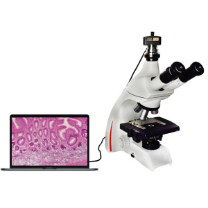 Leica显微镜DM500专业生物科研