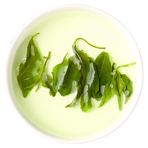 山东板栗香日照绿茶茶叶