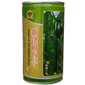 津研四号长黄瓜种籽子孑早熟绿瓤有光泽密刺春夏秋季抗霜霉白粉病
