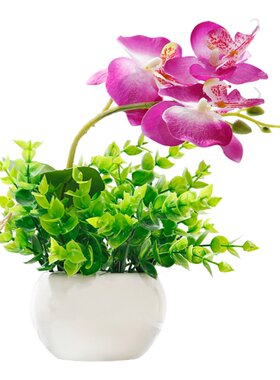 套装花小摆件窗台花活动花不易碎
