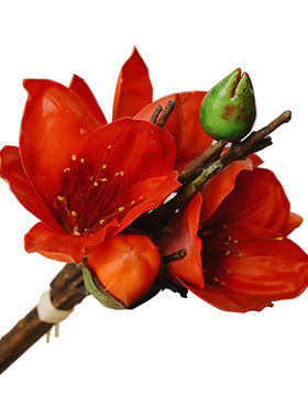 高品质仿真花假花餐桌装饰花