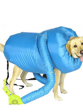柯基幼犬洗澡吹风机金毛法斗
