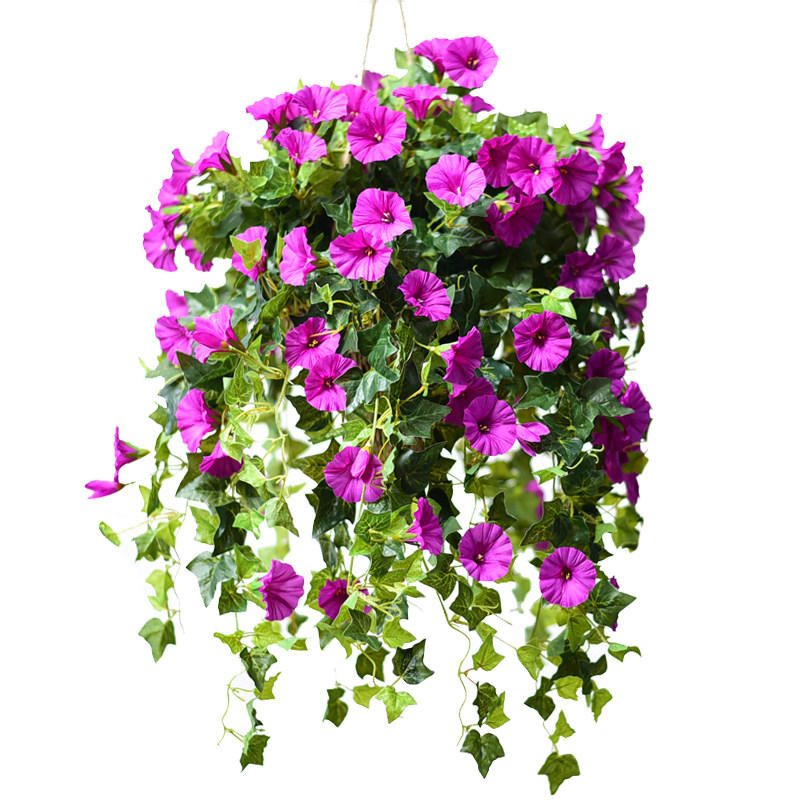 真的太美了堪比真花牵牛花壁挂