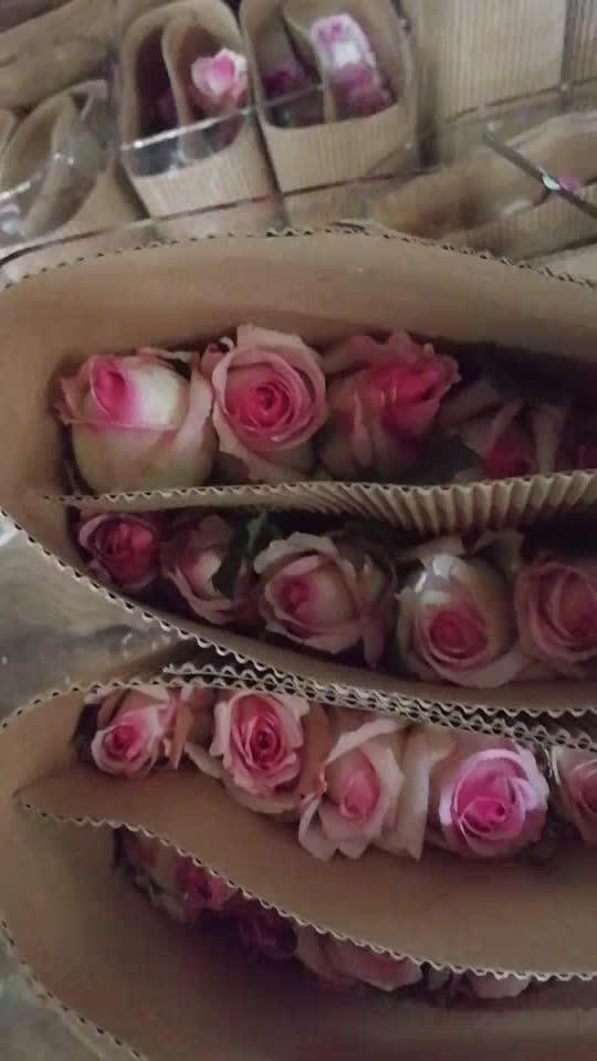 Wholesale Wedding Flowers Nature Fresh Cut Rose Flowers Buy Rose