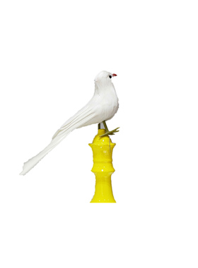 仿真装饰品鹦鹉布景道具大嘴鸟