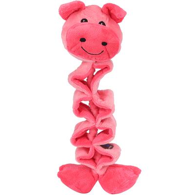 绮敏charmingpet狗狗金毛泰迪