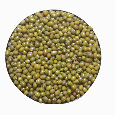 绿豆自产发豆芽杂粮绿豆云南