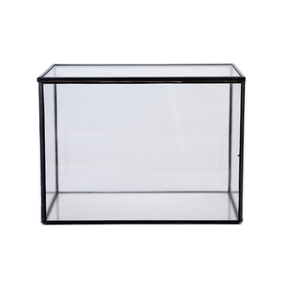 特价简约玻璃透明花盆