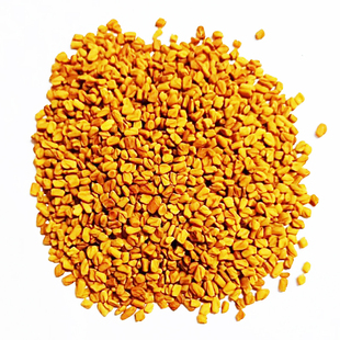 葫芦巴籽 葫芦巴子Common Fenugreek Seed