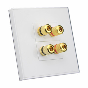 二位音箱插座86型面板 多媒体环绕音响面板 智能家居墙壁弱电面板