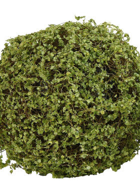 晶华仿真草皮苔草室内装饰