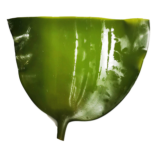 5斤山东荣成盐渍海带头厚海带海藻新鲜海菜海带大头根块整箱商用