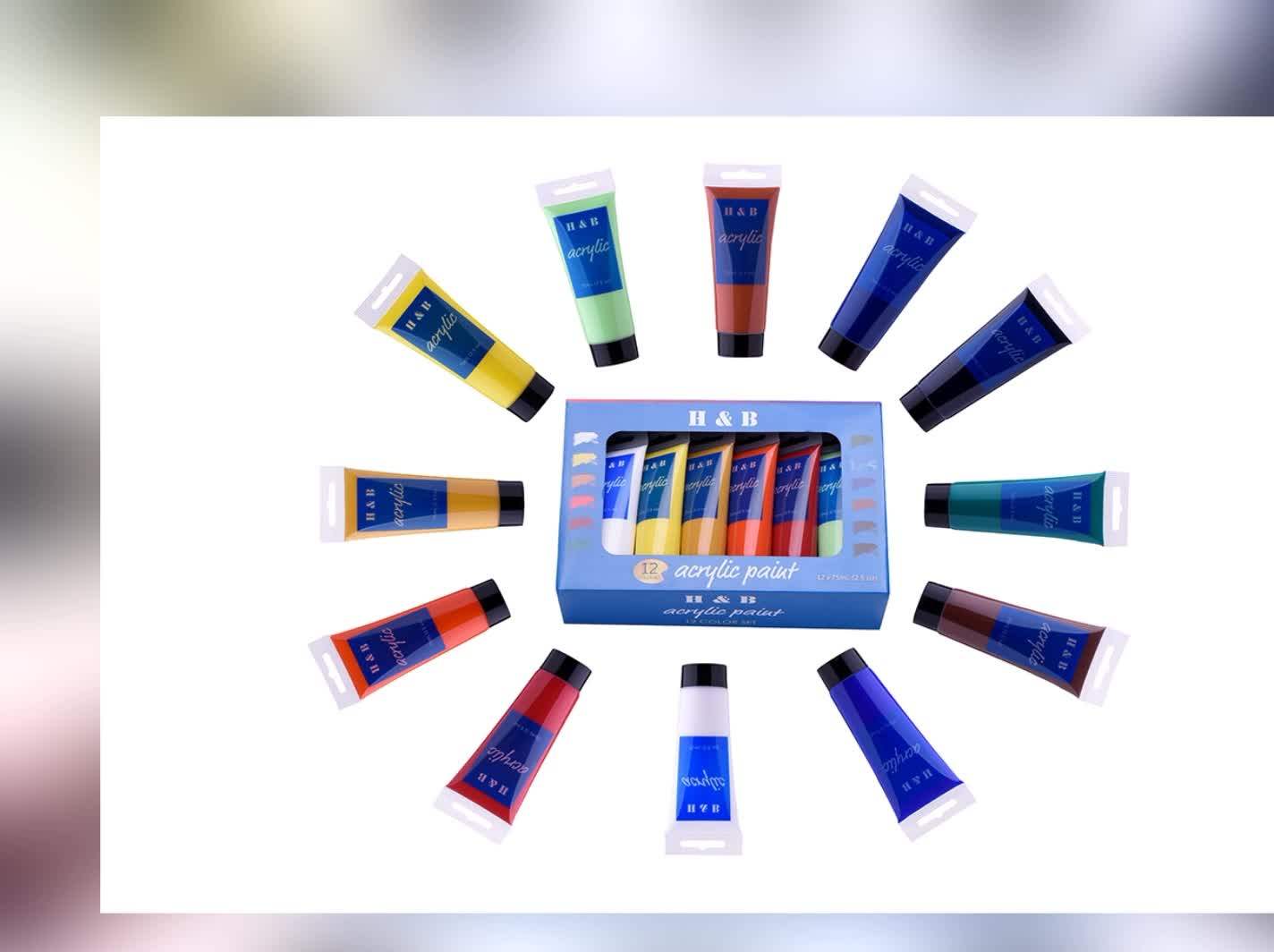 Hb Nontoxic 12pcs/box Acrylic Artist Paint Plastic Tube 75ml Packed