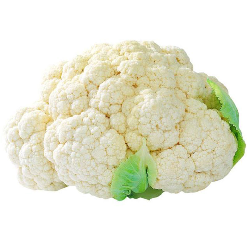 青梗松花菜种籽花椰菜种子高产