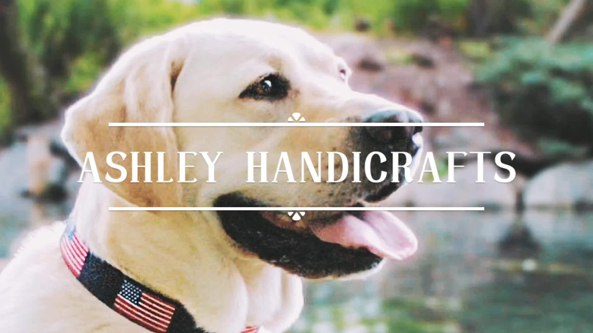 Foulden Pheasant Needlepoint Leather Dog Collars Custom Buy Leather