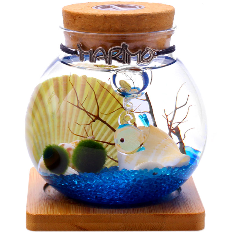 marimo温馨梦境包邮幸福海藻球 苔藓创意盆栽微景观生态瓶diy礼物