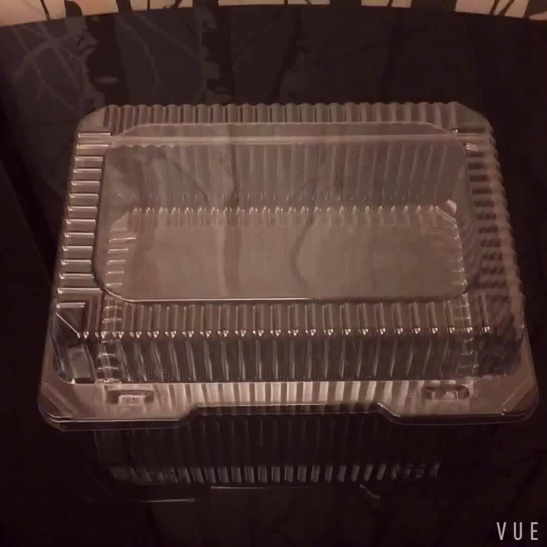 2019 New Products Disposable Plastic Food Plastic Disposable Container