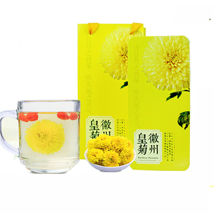徽州皇菊 大黄菊歙县金丝皇菊一朵一杯 黄山贡菊花茶高山菊花40朵