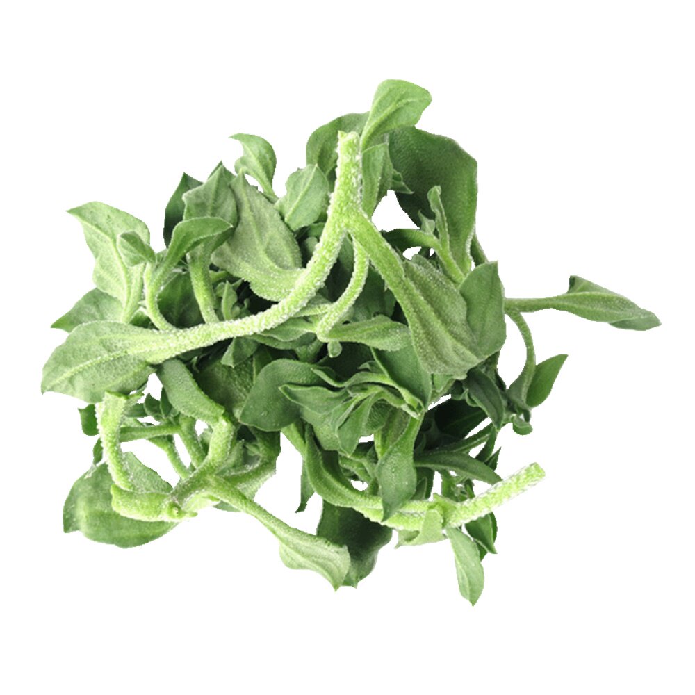 老一生鲜新鲜冰草即食生吃