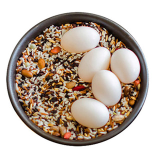 【朴园20枚】新鲜五谷鸽子蛋顺丰包邮真正农家放养土鸽蛋信鸽蛋