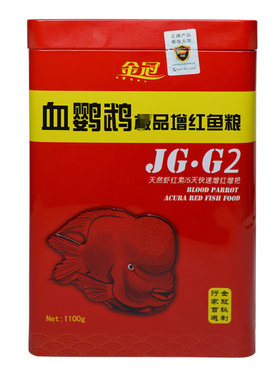 金冠增红发财鱼血鹦鹉