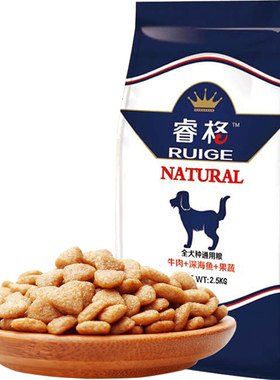 睿格通用金毛泰迪萨摩比熊幼犬